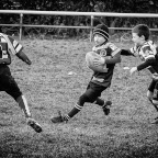 272-Sunday Rugby.jpg